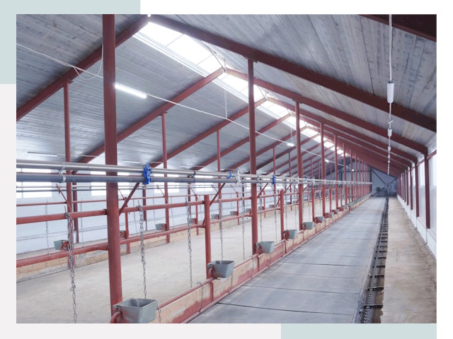 Строительство коровников в Кирове от 622 руб.