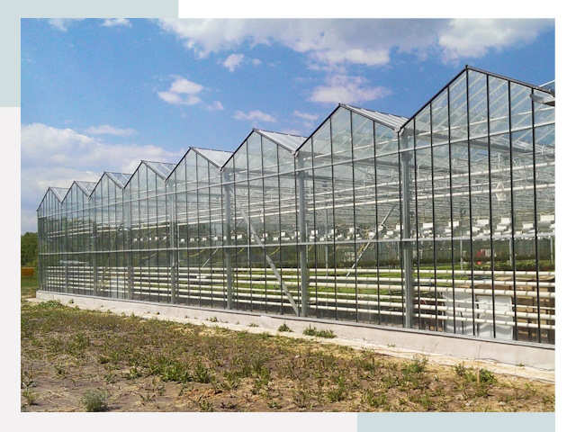 Строительство теплиц в Киров от 622 руб. за м²